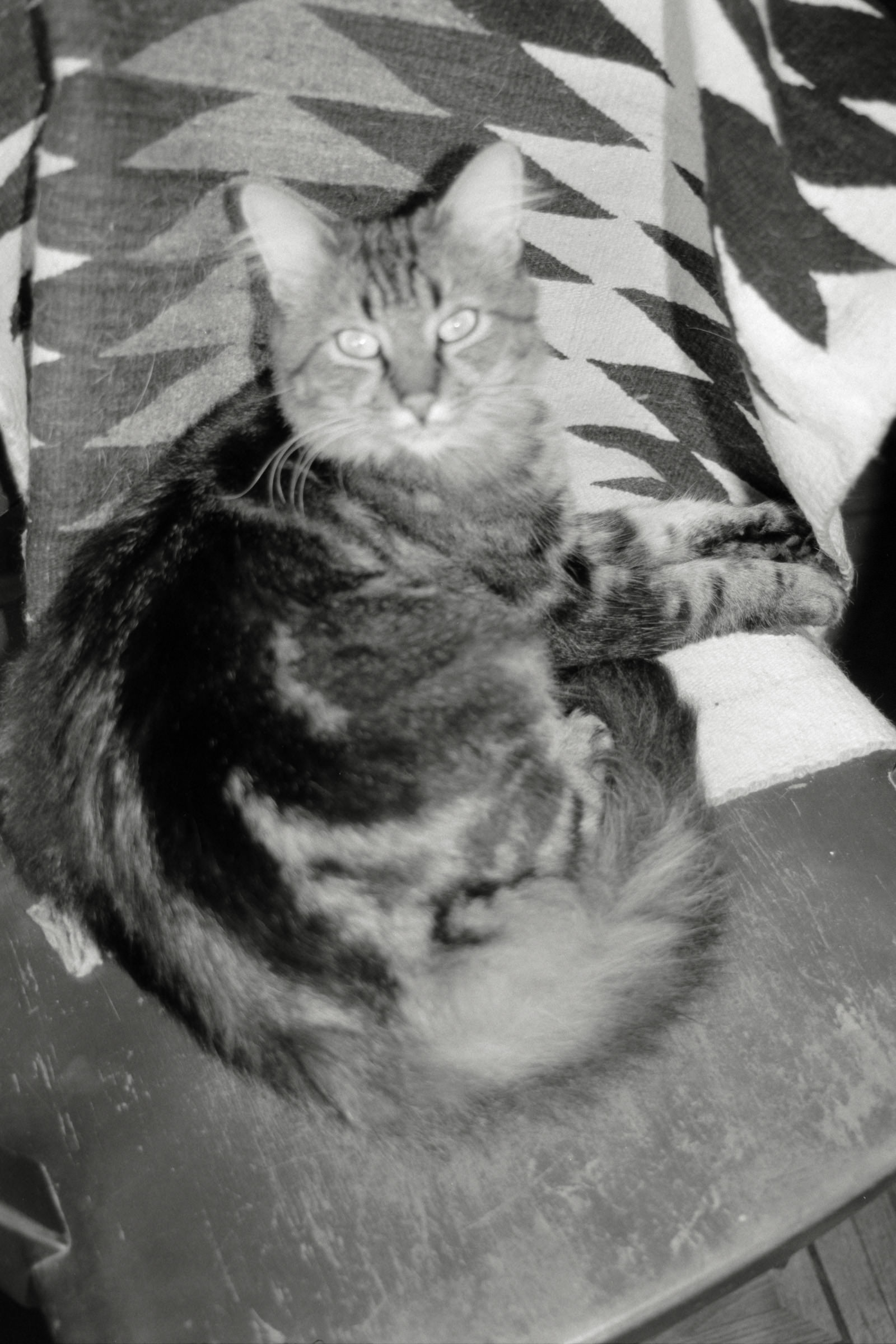 AHP F1990 09 003 sc250506 img32 NLP